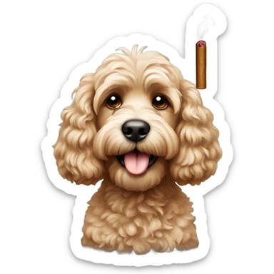 Cockapoo with a cigar sticker