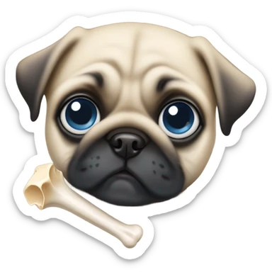 Baby pug with big blue eyes chewing a bone  sticker