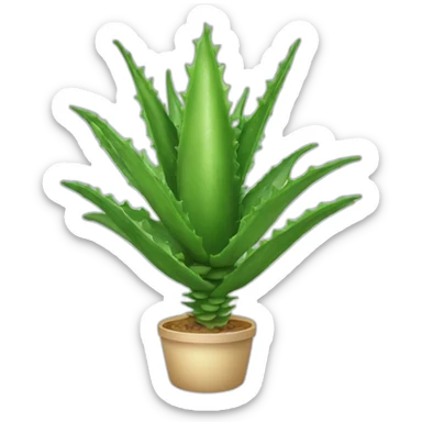 aloe vera sticker