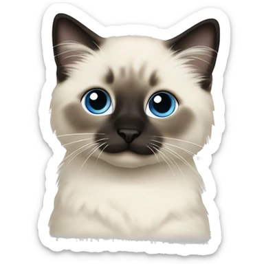 Seal colorpoint ragdoll kitten dark nose sticker