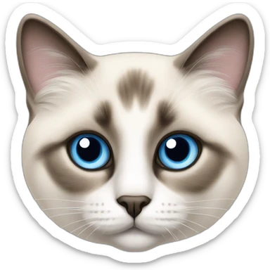 Apple icon Birman cat seat with bleu eyes sticker