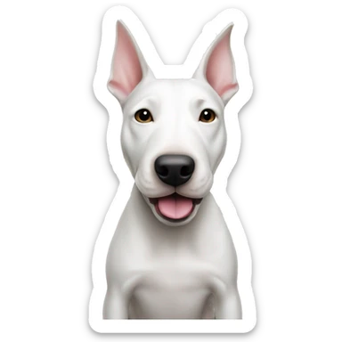 A White Bull terrier with cash sticker