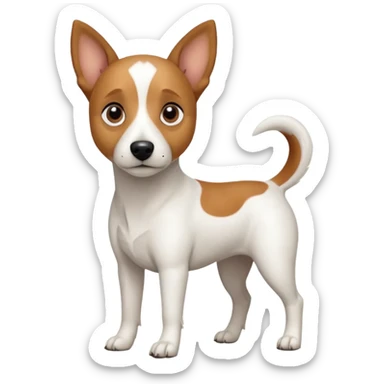 a full body white jack russel looking dog the size of a kelpie with light brown ears and a light brown patch on one eye and a large snout sticker