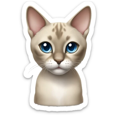 Thai breed cat with a light cream-brown body, dark gray face, ears, and paws. Short fur, sharp ears, and striking light blue eyes with an intense gaze. sticker