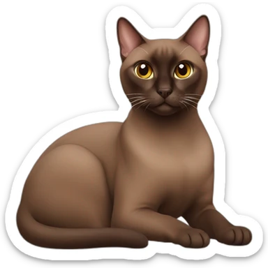 chocolate tonkinese cat sticker