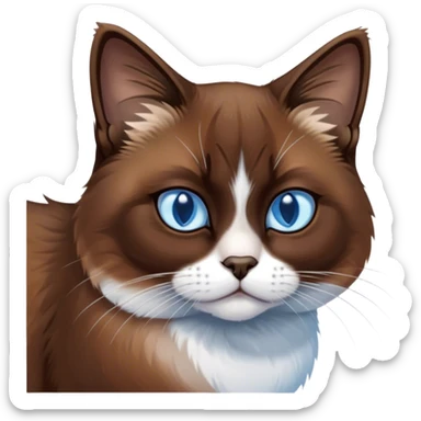 Cinematic Grumpy Brown Mantle Snowshoe Cat Portrait Emoji, Head tilted slightly with a deeply unimpressed expression, rich brown fur blanketing its back, contrasted by its signature white paws, chest, and face, piercing icy-blue eyes narrowed into an unamused glare, Simplified yet comically expressive features, highly detailed, glowing with a dry, sarcastic glow, high shine, effortlessly judgmental yet dignified, stylized with a touch of cynicism, bright but brooding, soft glowing outline, capturing the essence of an eternally unimpressed yet endearing feline, so lifelike it feels like it could sigh heavily at you in disdain at any moment! sticker