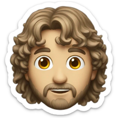 peregrin took lord of the ring sticker