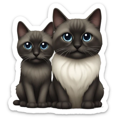 Two dark cat Cute et creepy sacred of birman sticker