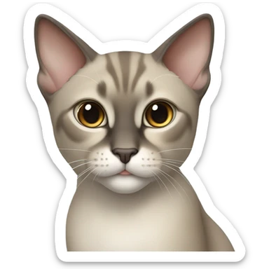 Thai breed cat with a light cream-brown body, dark gray face, ears, and paws. Short fur, sharp ears, and striking light blue eyes with an intense gaze. sticker