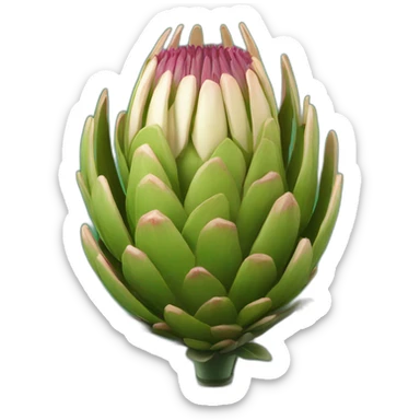 protea flower with a cricket bat sticker