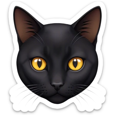 Bombay cat, sleek black fur, intense stare sticker