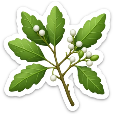 The type of mistletoe you kiss under sticker