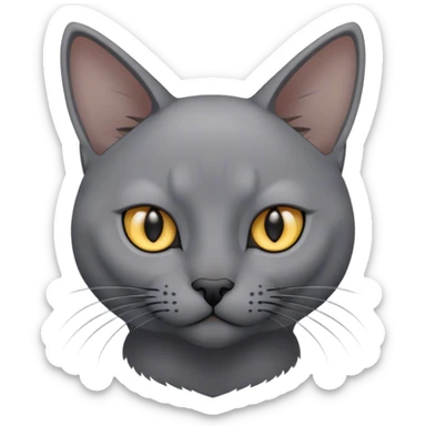 Gray korat cat sticker