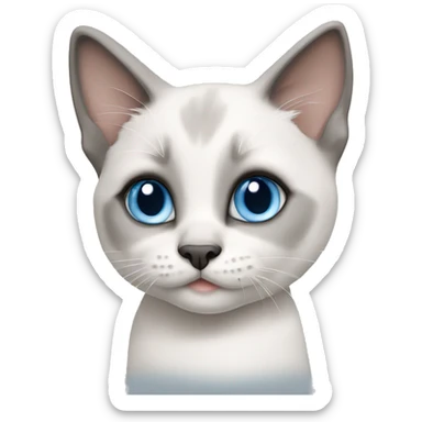 Cute big blue eyed Siamese white and grey kitten sticker