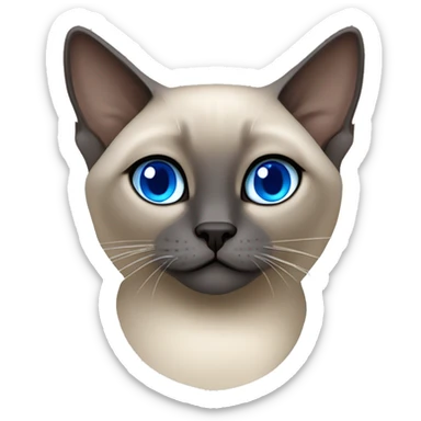 Blue mink tonkinese cat with blue eyes curled up sticker