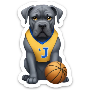 Grey Cane Corso in a blue and gold colored basketball uniform with a monogrammed J. sticker