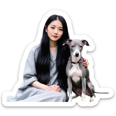 A beautiful 25-year-old Chinese woman with long black hair and a pure dark grey Italian Greyhound with absolutely NO white markings anywhere on its body sitting under a cherry blossom tree. The dog must be completely solid dark grey with no white on muzzle, paws, or chest. sticker