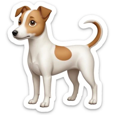 a full body white jack russel looking dog the size of a kelpie with light brown ears and a light brown patch on one eye and a large snout sticker