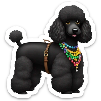 One Small Black Poodle with one  colorful bead necklaces with brown harness sticker
