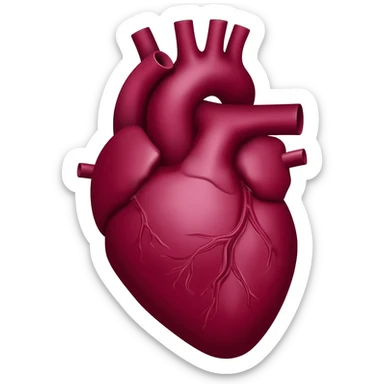 Burgundy anatomical heart  sticker