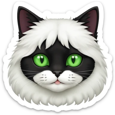 Black cat with white chest and white paws with green eyes  sticker