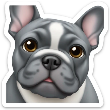 a grey french bulldog with a white chest patch sticker