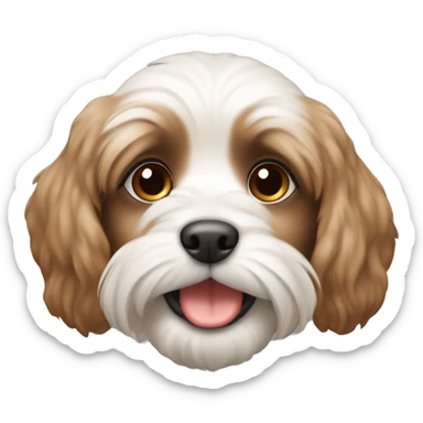 the puppy of the Maltese breed is brown in color sticker