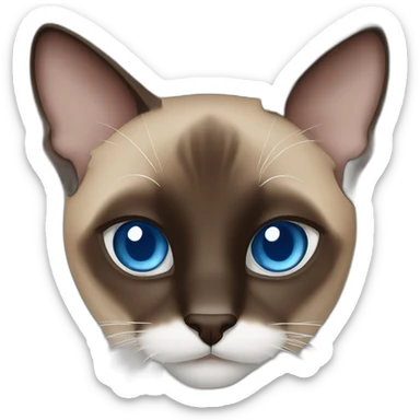 Medium brown and black siamese Cat with blue eyes and white chin sticker