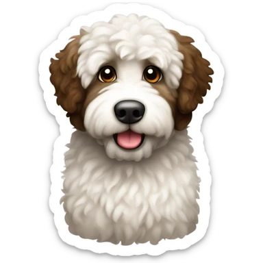 white and dark brown chubby labradoodle with white chest and brown eyes sticker