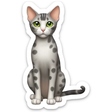 Short-haired oriental cat ,full body , grey coat with small spots , green eyes , terracotta nuzzle sticker