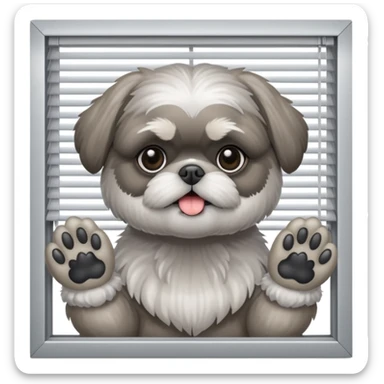 cute all grey shih tzuh behind window shades pulling them open with one paw and peeking through them sticker