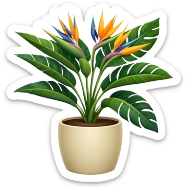 Bird of paradise leafy plant in cream pot no white between leaves sticker