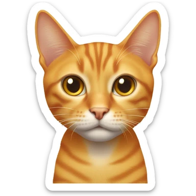 Skinny orange tabby cat, missing one eye sticker