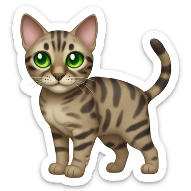Sepia charcoal Bengal cat with Green eyes standing sticker