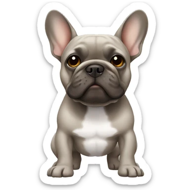 Grey French bulldog with brown tan  sticker