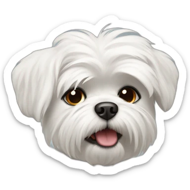 white Maltese little dog with angry face and black eyes sticker