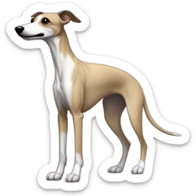 a beige whippet full body side profile with his left foot raised up up and a leash going out of frame, with a dark snout, black and white mouth patchy and black angel wing like eyes sticker