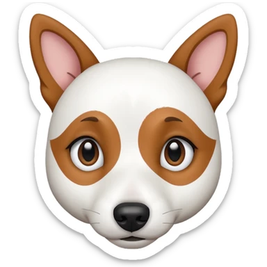 a fully white jack russell the size of a kelpie with a half white face sticker