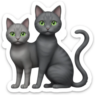 full body view of beautiful female solid dark grey cat with green eyes, grey face, white toes/paws and white patch on her chest sticker