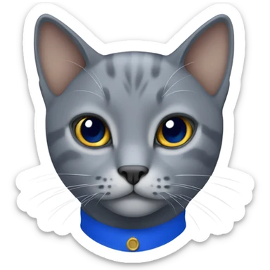 A gray cat wearing a royal blue polo sticker