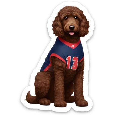 Chocolate brown Aussie doodle wearing a University of Arizona basketball jersey sticker