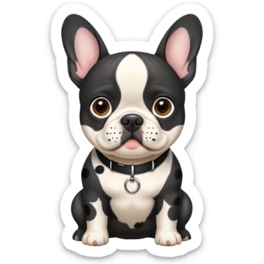 French bull dog all black face and white body with black spots on it with a collar that says Lilo sticker