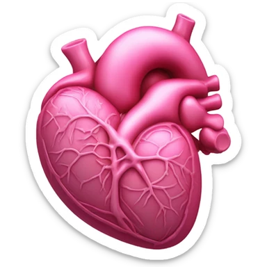 Pink heart organ  sticker