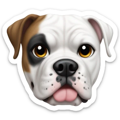 American bulldog white with black patch of fur on it’s eye sticker