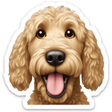 Golden doodle dog showing tongue sticker