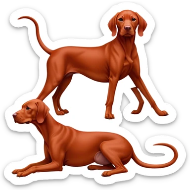 cinematic-[Vizsla-realistic-full-body-sitting-emoji,-tail-resting-loosely-beside-its-paws,-head-tilted-dramatically, -sleek-[red]-fur,-simplified-yet-realistic-focused-features,-highly-detailed,-glowing-with-an-almost-sarcastic-glow sticker