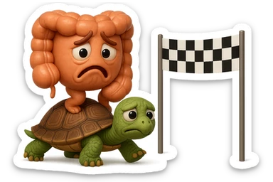  EMOJI STILE IPHONE 3D DI UN INTESTINO CON ESPRESSIONE ANGOSCIATA CHE CAMMINA SEDUTO IN GROPPA SUL GUSCIO DI UNA TARTARUGA IN ATTESA ESTENUANTE DI RAGGIUNGERE UN TRAGUARDO POCO PIù AVANTI, SULLA LORO DESTRA. IL TRAGUARDO è UNA BANDIERA A DUE PIEDI CON FASCIA A SCACCHI BIANCHI E NERI. iperrealistico 4k sticker