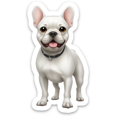 White Frenchie standing sticker