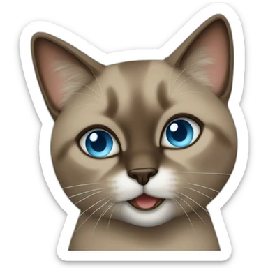 blue eyes brown siamois cat with a mojito sticker