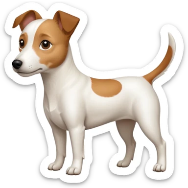 a full body white jack russel looking dog the size of a kelpie with light brown ears and a light brown patch on one eye and a large snout sticker